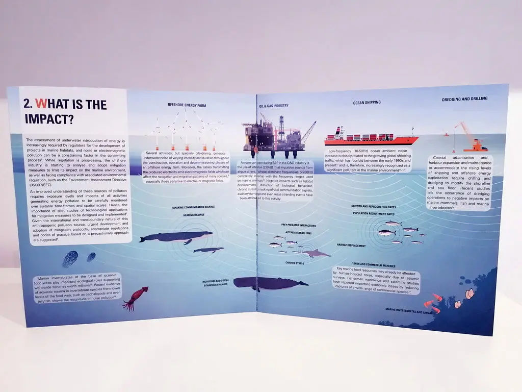 Dossier proyecto. Diseño gráfico